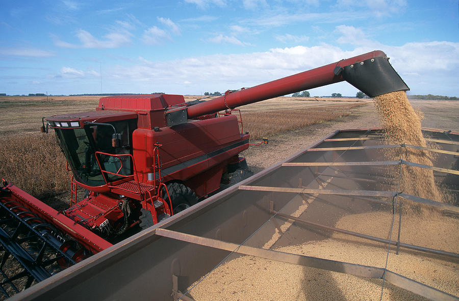 Harvesting a Field of Soybeans With a Combine Harvester. Photograph by JMichl