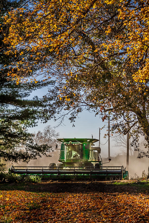 Fall Photograph - Harvesting in the Fall by Ron Pate