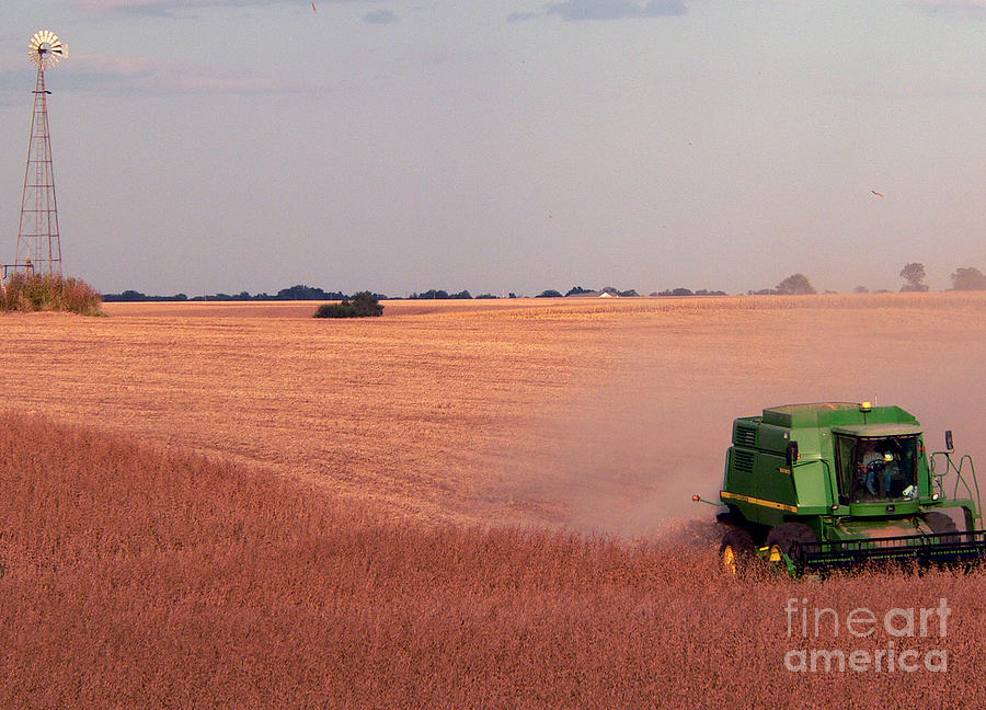 Harvesting Iowa Beans Photograph by David Bearden