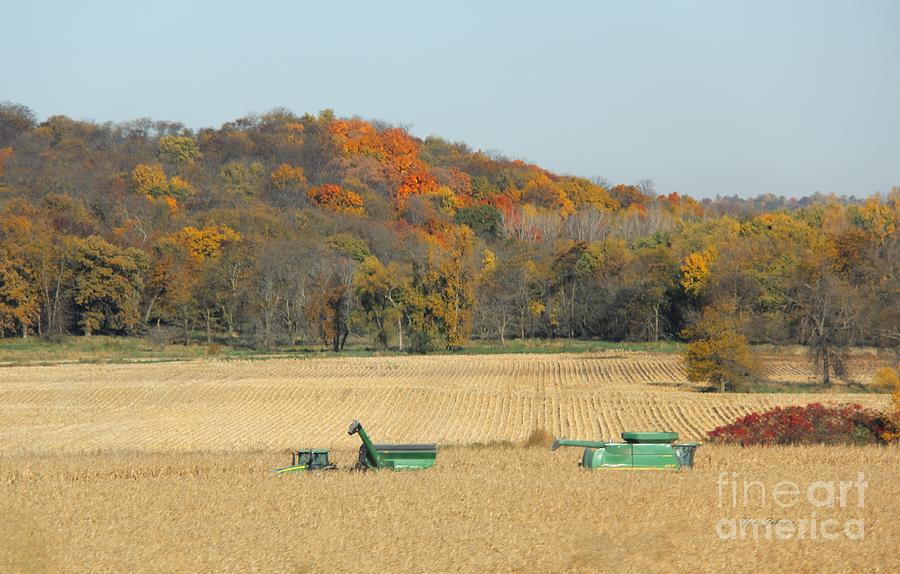 Harvesting Iowa corn  Photograph by Yumi Johnson