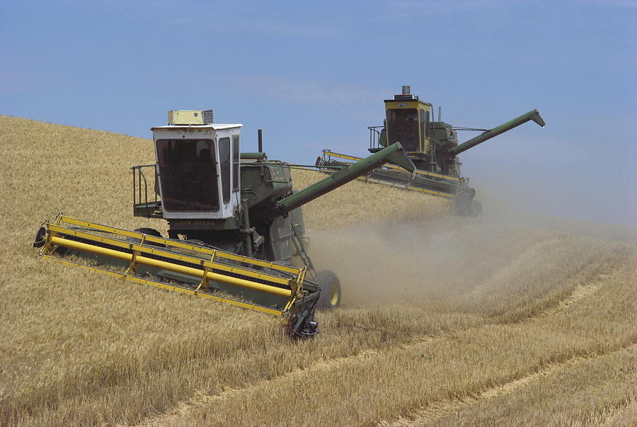 Farm Photograph - Harvesting Wheat by Dan Guravich