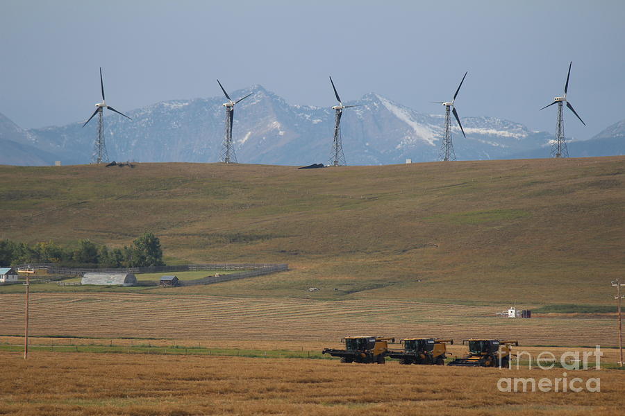 Farm Photograph - Harvesting Wind and Grain by Ann E Robson