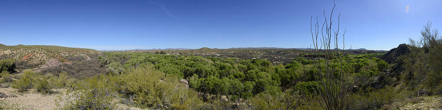 Hassayampa River Preserve Lykes Lookout Panorama March 14 2013 Photograph by Brian Lockett