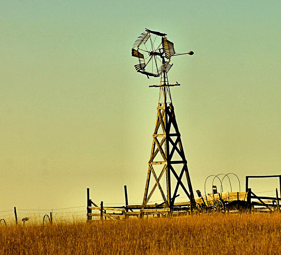 hasten down the wind image