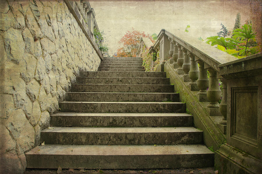 Hatley Castle Garden Steps Photograph by Marilyn Wilson