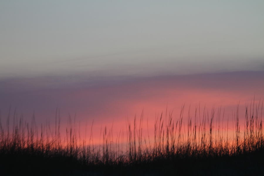 Beach Photograph - Hatteras Dunes and Grass 2 by Cathy Lindsey