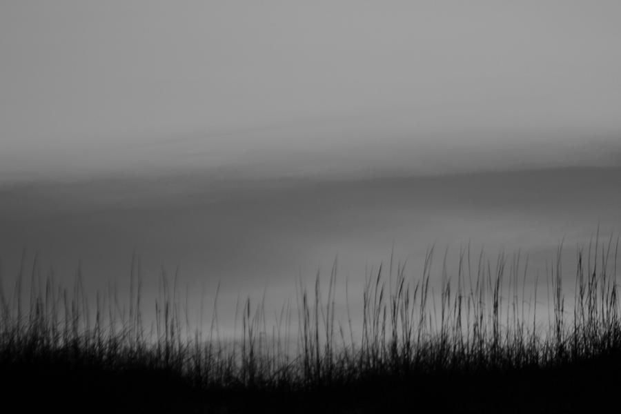 Beach Photograph - Hatteras Dunes and Grass Black and White by Cathy Lindsey