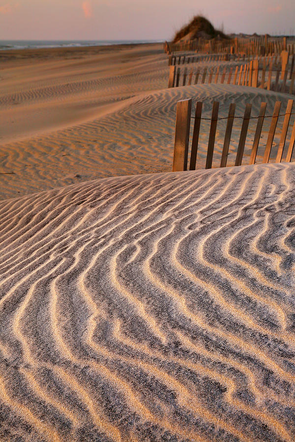 Hatteras Dunes Photograph by Steven Ainsworth