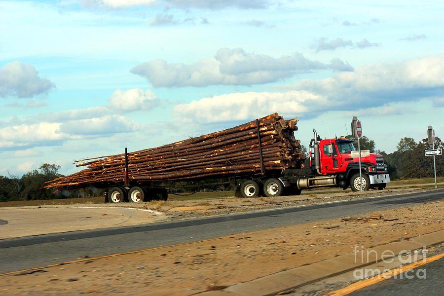Hauling Timber Photograph by Kathy  White