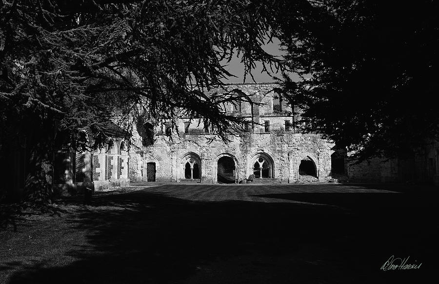 Haunted Abbey Photograph by Diana Haronis