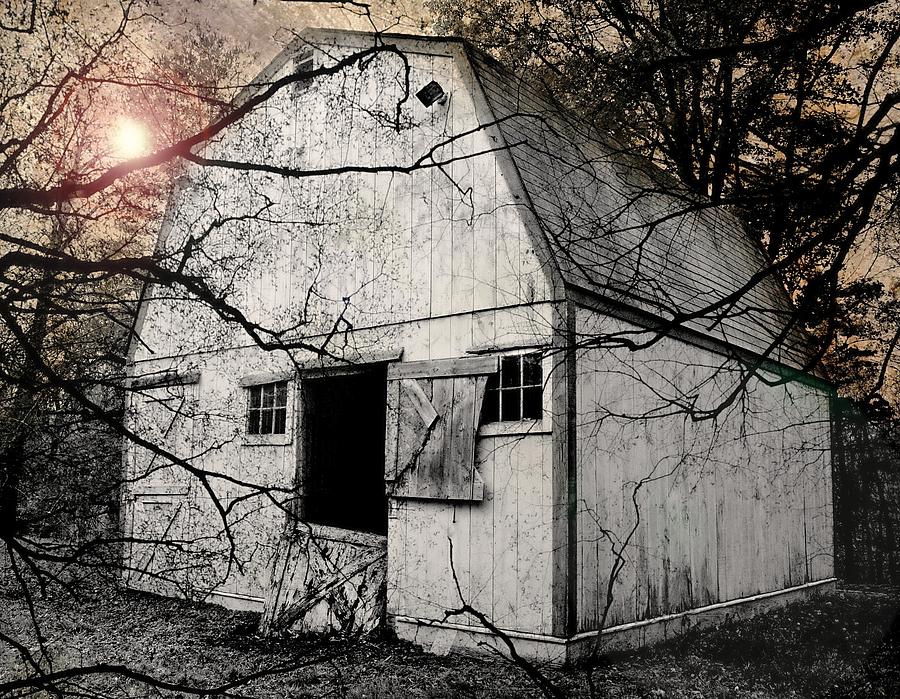 Barn Photograph - Haunting by Diana Angstadt