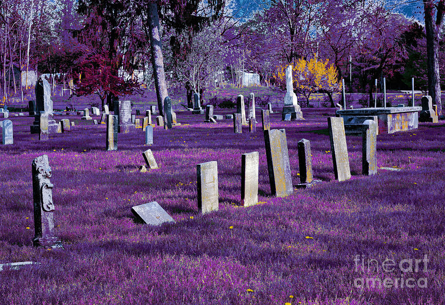 Transformations Photograph - Haunted Cemetery by Alys Caviness-Gober