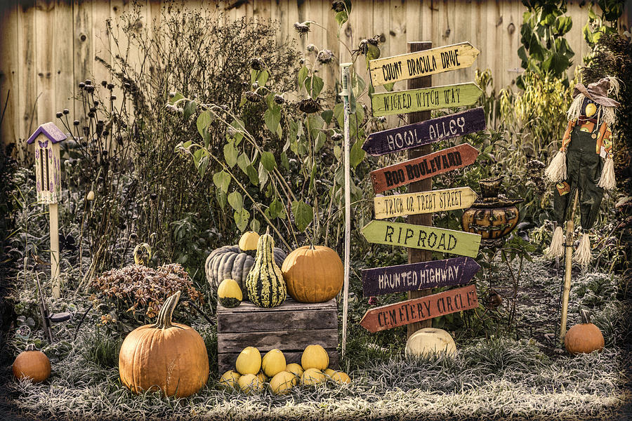 Haunted Harvest Photograph by Thomas Young