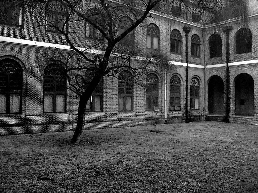 Haunted Mansion Photograph by Salman Ravish