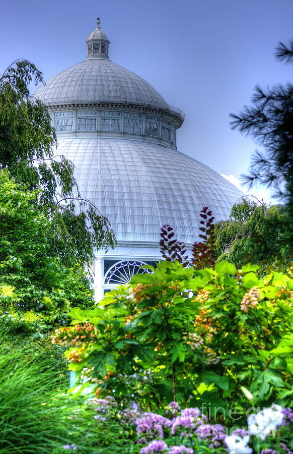 Haupt Conservatory Dome Photograph