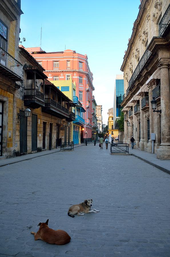 Havana Street Scene 5 Photograph by Steven Richman