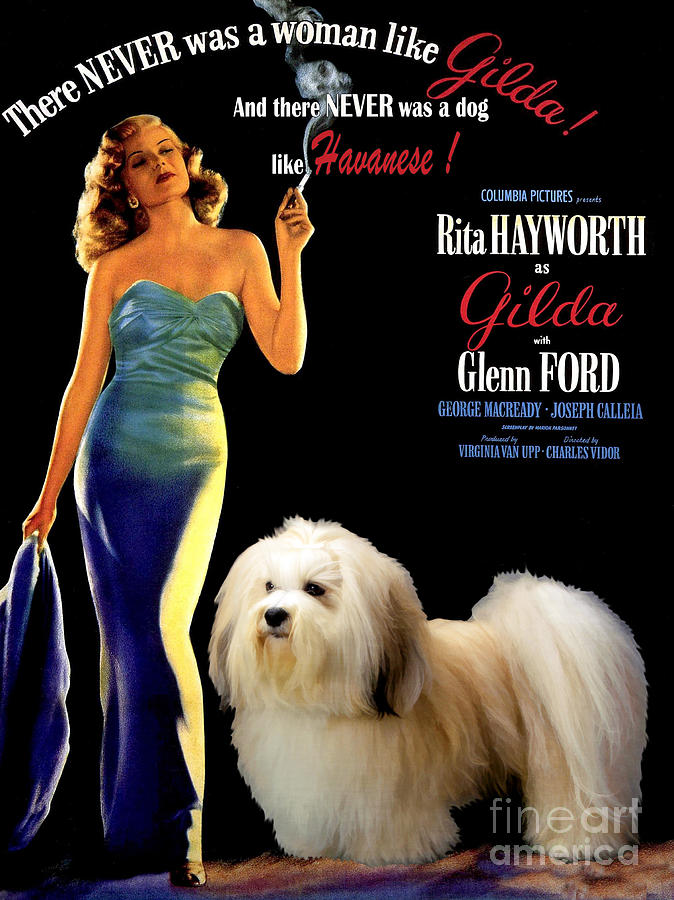 Havanese Art - Gilda Movie Poster Painting