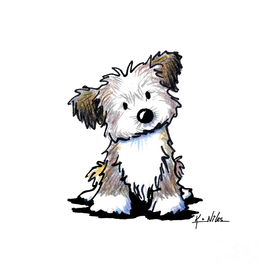 Dog Drawing - Havanese Puppy by Kim Niles aka KiniArt