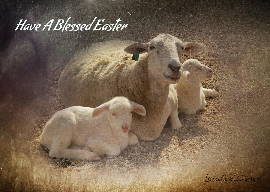 Have A Blessed Easter Photograph by Lena Wilhite