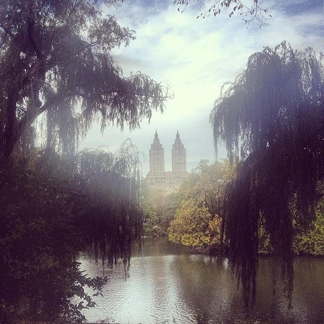 New York City Photograph - Have A Dreamy Day ☁️#centralpark by U p t o w n S u e