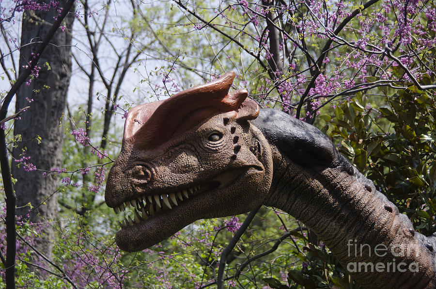 Have A Jurassic Day Photograph
