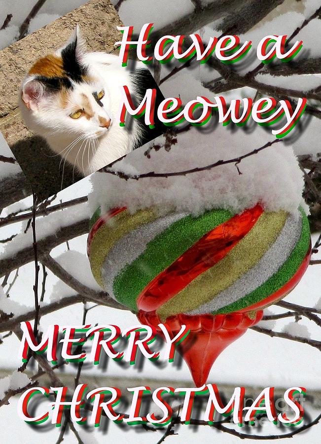 Have a Meowey Merry Christmas Photograph by Phyllis Kaltenbach