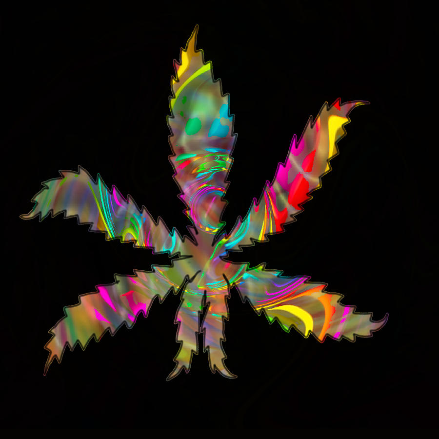Marijuana Digital Art - Have a nice day by Kevin Caudill