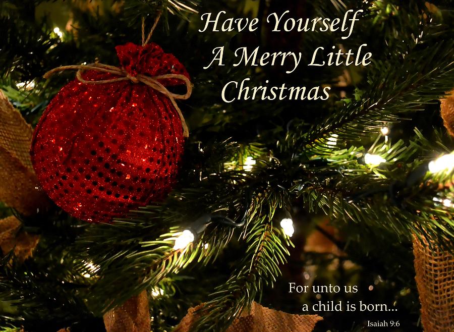 Christmas Photograph - Have Yourself A Merry Little Christmas by Deena Stoddard