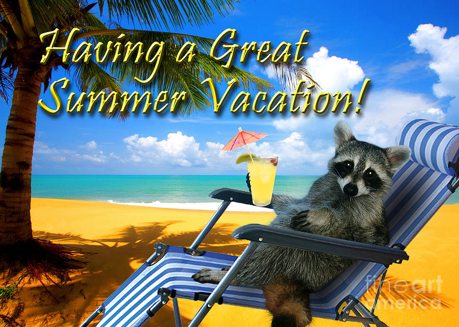 Nature Photograph - Having a Great Summer Vacation Raccoon by Jeanette K
