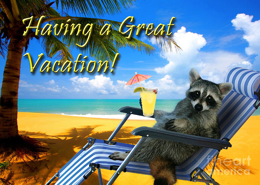 Nature Photograph - Having a Great Vacation Raccoon by Jeanette K