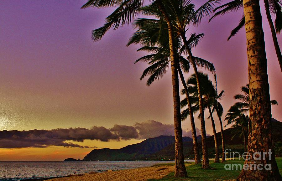 Hawaii Photograph by Craig Wood