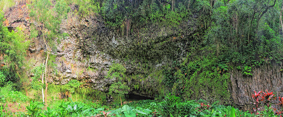 Hawaii Fern Grotto Photograph by C H Apperson