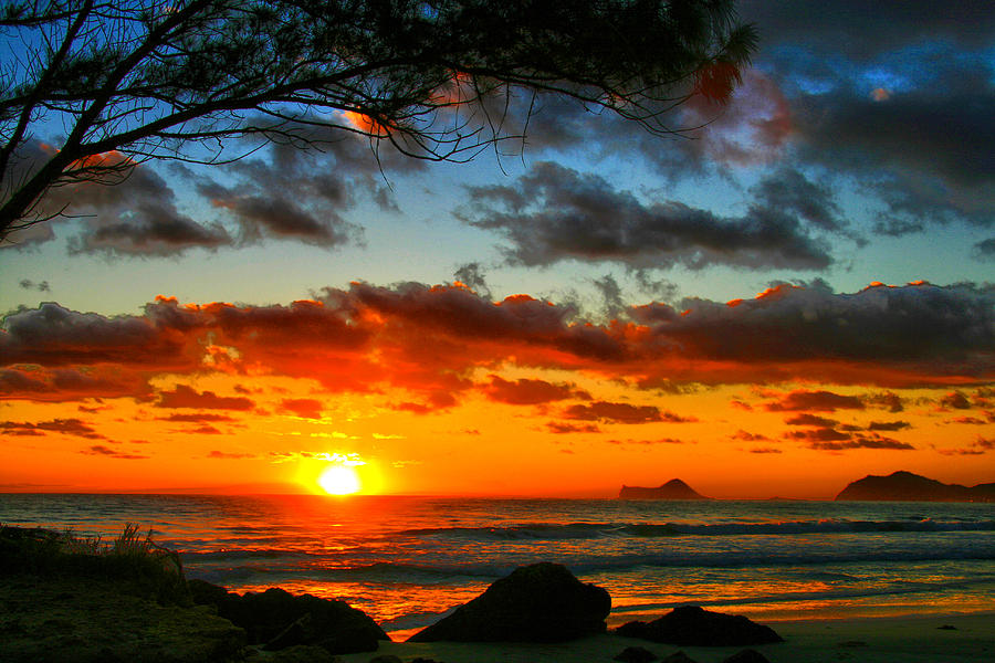 Hawaii Photograph by Mitch Cat