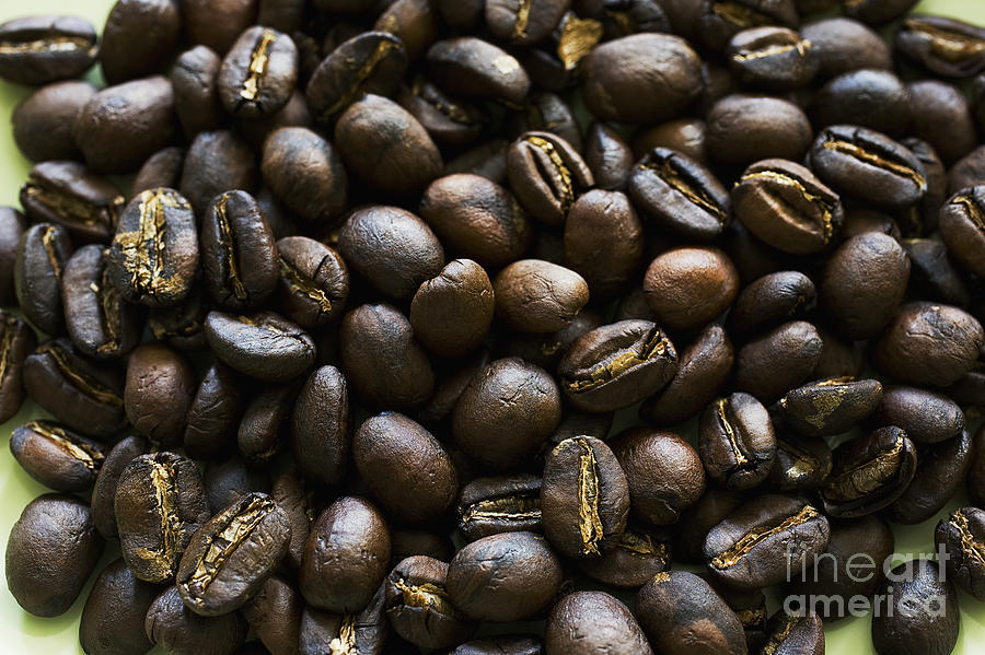 Medium Roast Coffee Beans Photograph by Charmian Fine Art