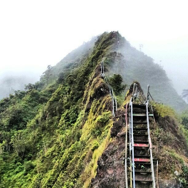 Nature Photograph - #hawaii #oahu #stairwaytoheaven #mist by Paul I Bonnell