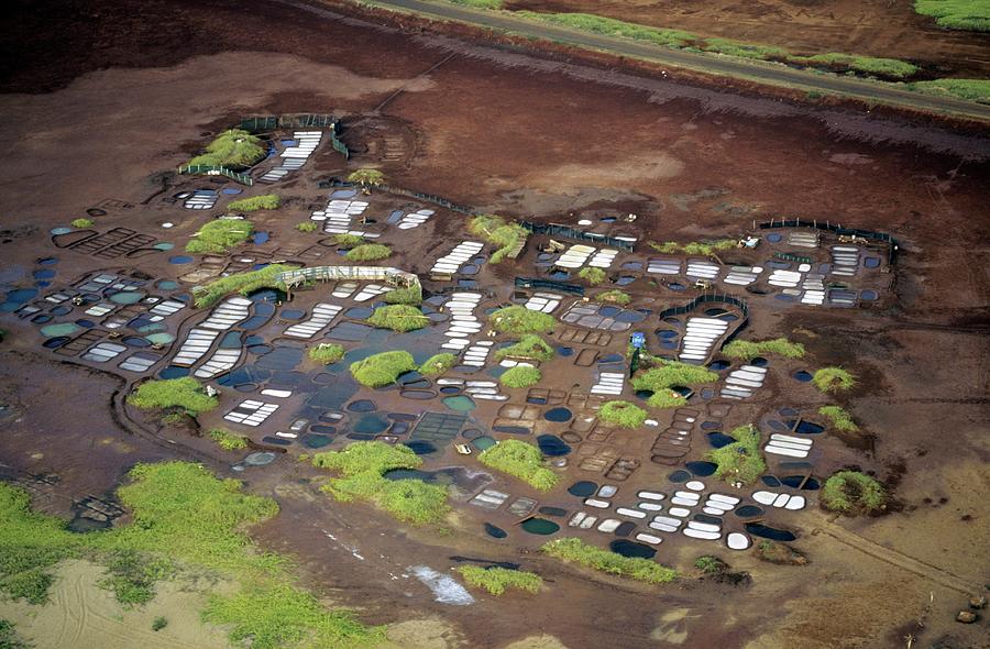 Hawaii Salt Pans Photograph by Andy Crump/science Photo Library