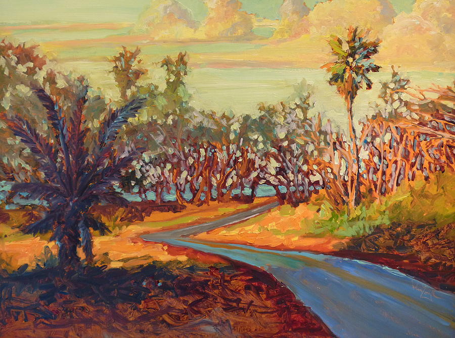 Hawaii shadow road Painting by Dan Young - Fine Art America