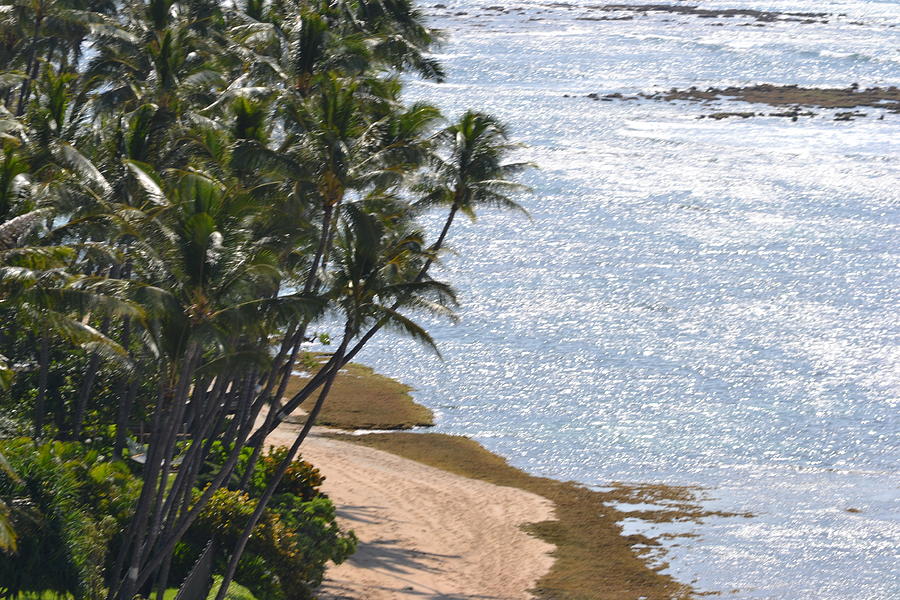 Hawaii Shores Photograph by Amanda Eberly