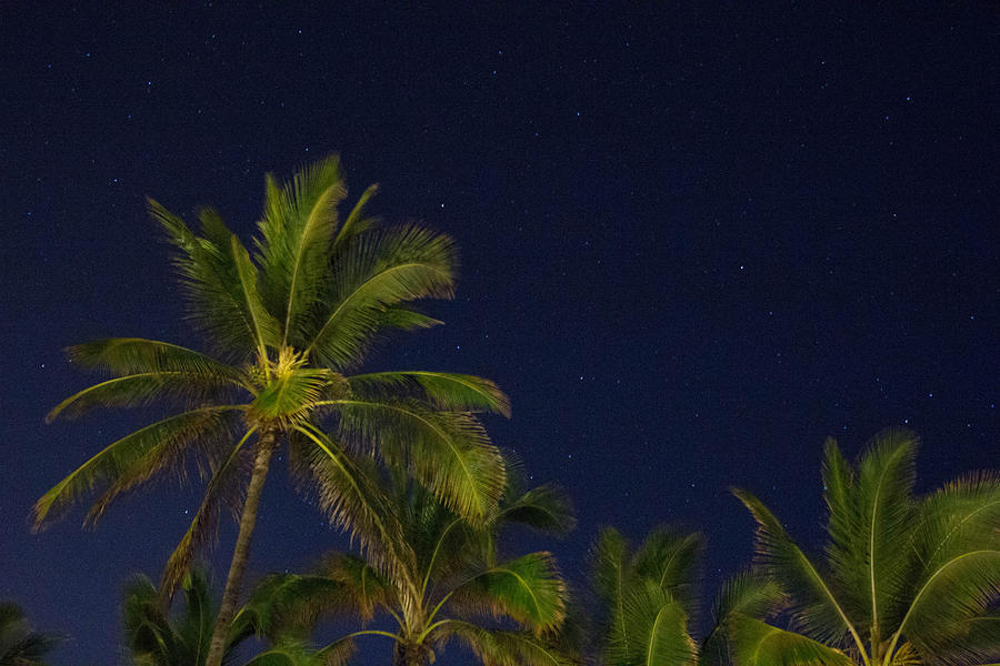 Hawaii Stars Photograph by Amy Nixon - Fine Art America