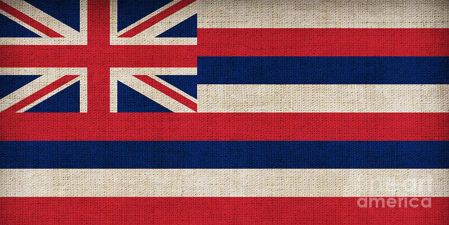 Flag Painting - Hawaii State Flag  by Pixel Chimp