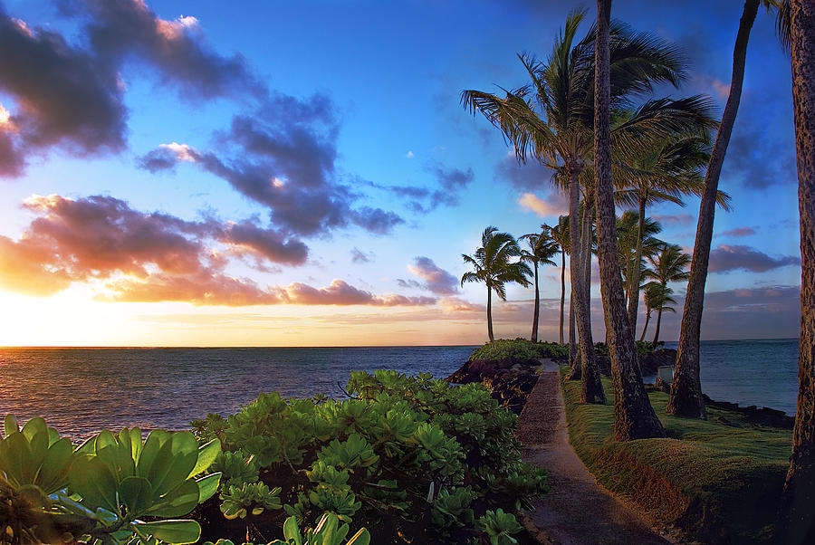 Hawaii Sunset Photograph by Dave Dilli