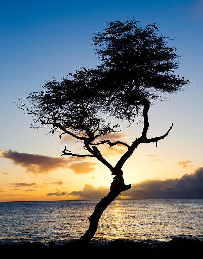 Hawaii Sunset Photograph by Georgette Grossman