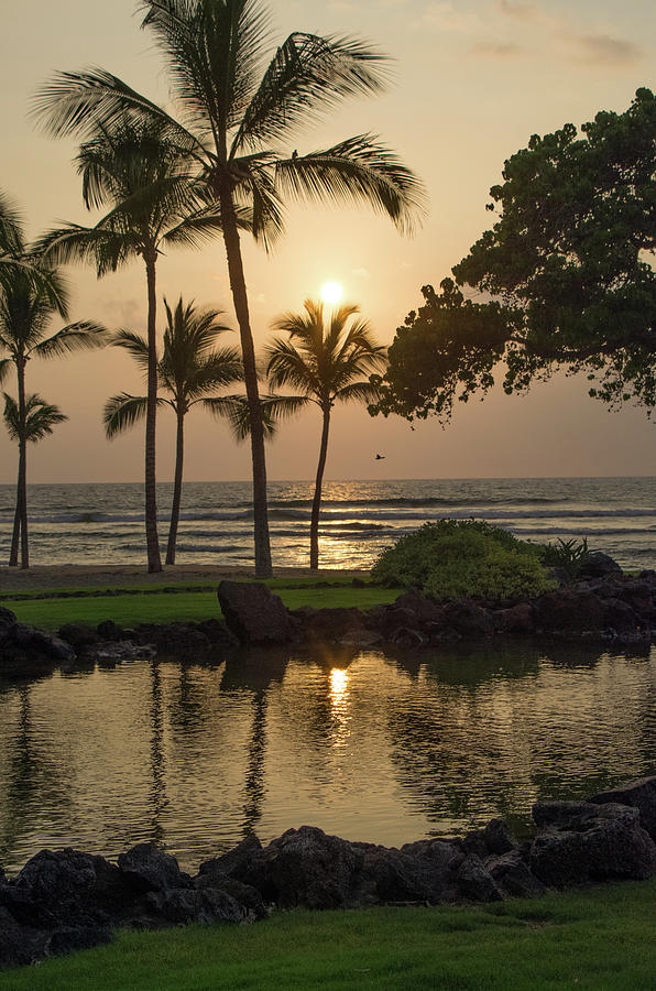 Hawaii Sunset Photograph by Katya Lyukum