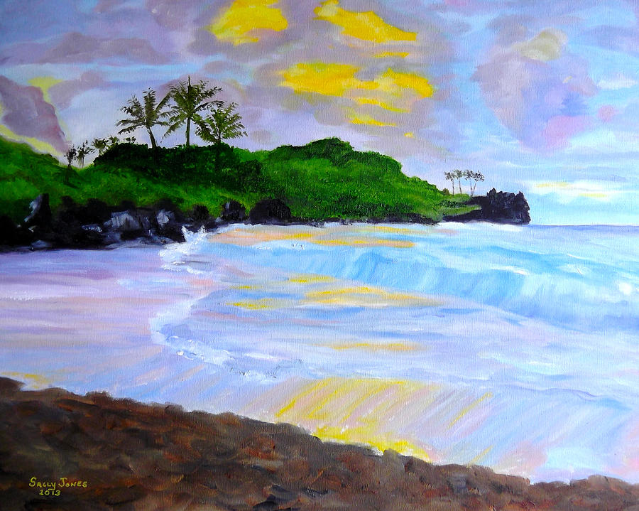 Hawaii Sunset Painting by Sally Jones - Fine Art America