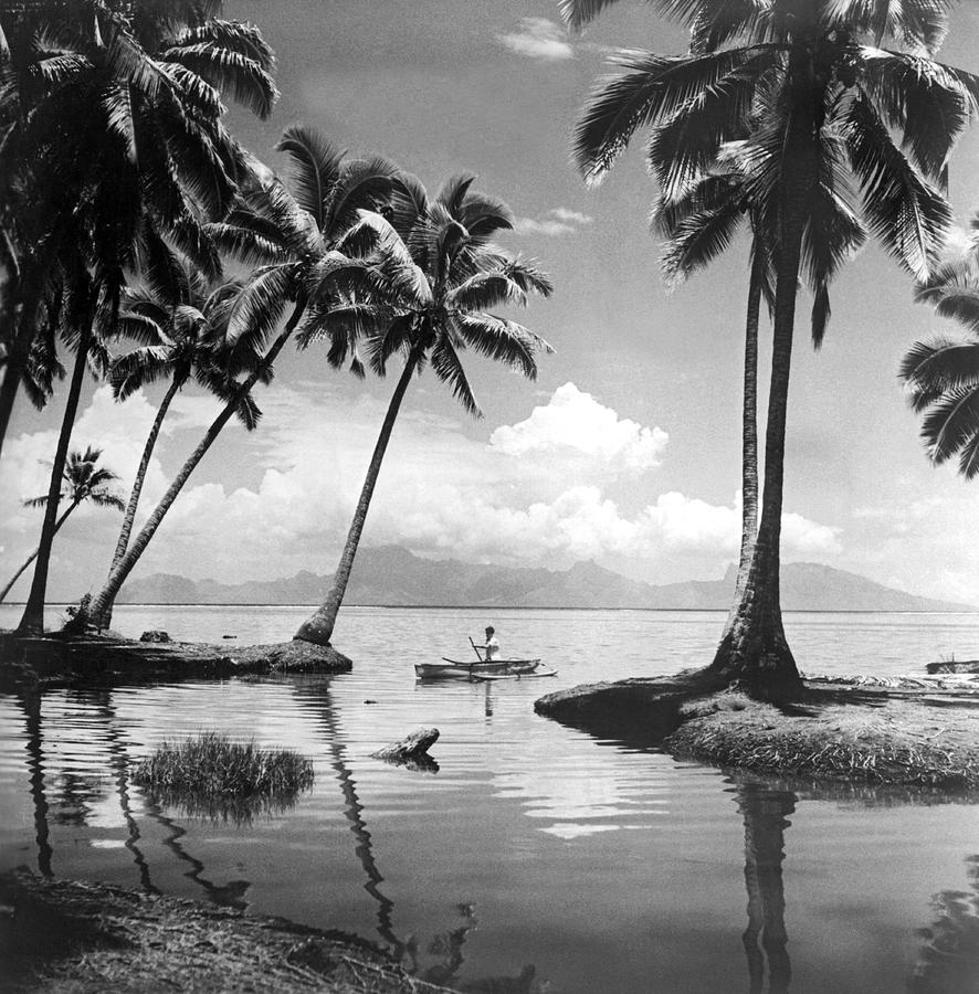 Hawaii Tropical Scene Photograph by Underwood Archives