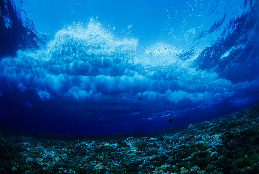 Hawaii Underwater View Of Wave Photograph By Dave Fleetham