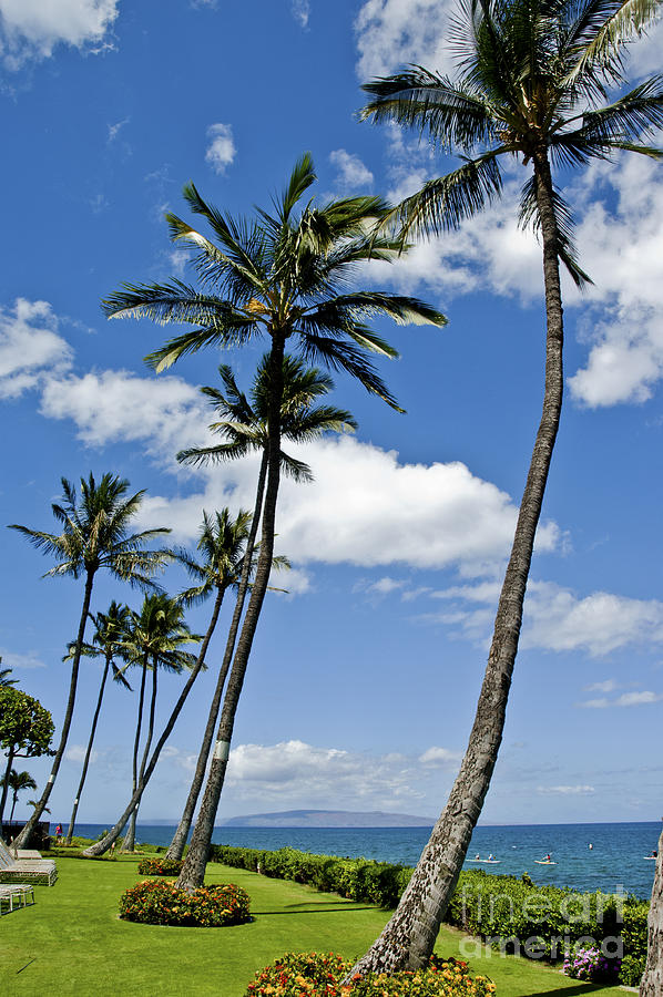 Hawaiian Beach On Maui 15 Photograph