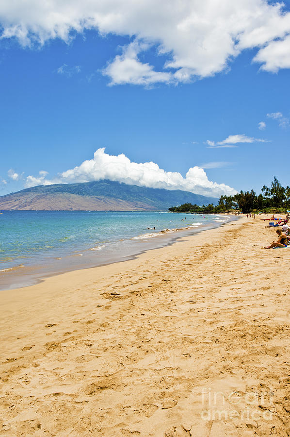 Paradise Photograph - Hawaiian Beach on Maui 7 by Micah May