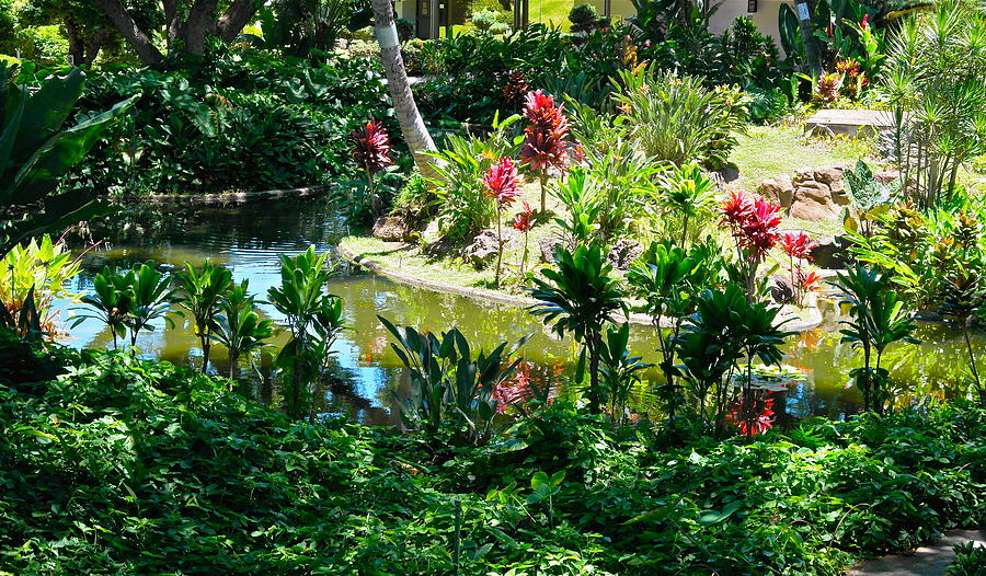 Nature Photograph - Hawaiian Cultural Garden Honolulu Airport by Michele Myers