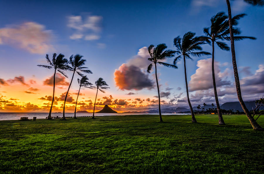 Nature Pyrography - Chainaman Hat Hawaii by RC Pics